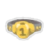 Champion Belt